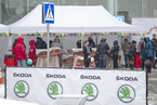 Масленица в Major City вместе с Skoda