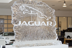 День Открытых Дверей Jaguar AWD в Major City, 16 февраля 2013 года